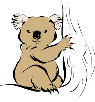 koala